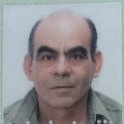 Sinval de Araujo Pimenta