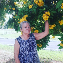 Conceição Barcelos Lataliza