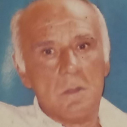 Amaury Helvécio Theodoro da Silva